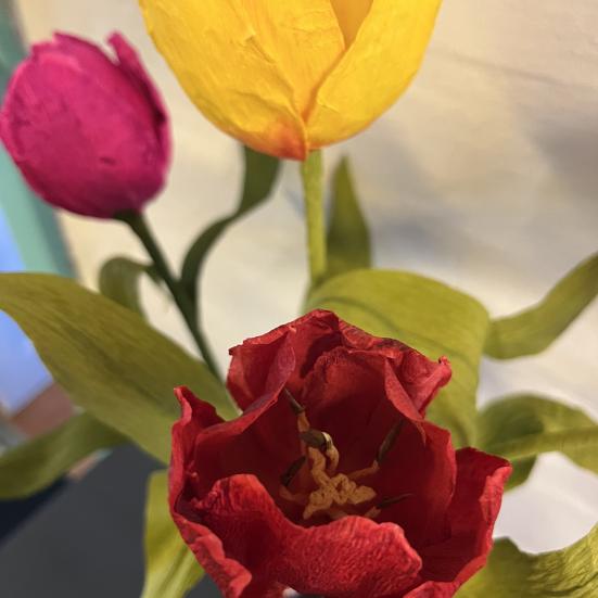 Tulipaner i crepepapir med Bente Ziersen 